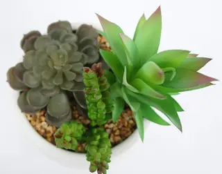 Artificial Fake Succulent Plants Faux Potted Green Decor for Desk Artificial Fake Succulent Plants Faux Potted Green Decor for Desk