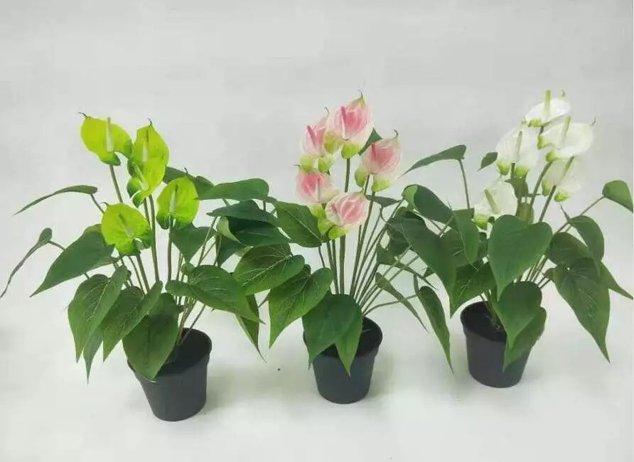 Sharetrade - Artificial Anthurium Andraeanum