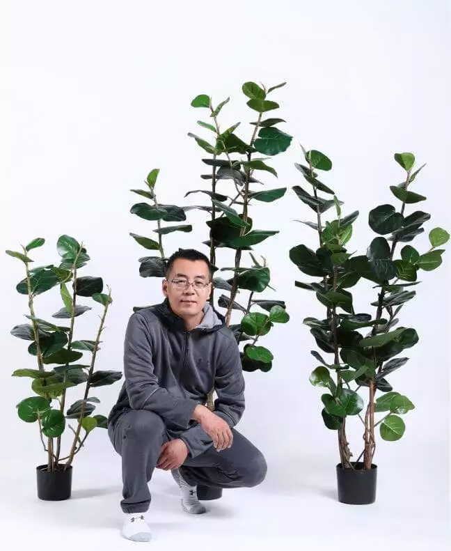 2020 Artificial Plants from Sharetrade