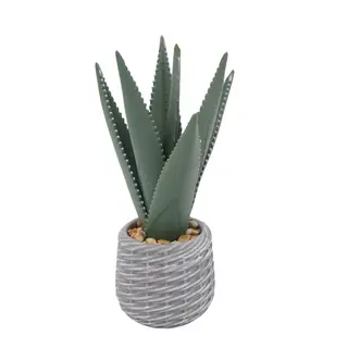 Artificial Sisal Leaves in an EVA Pot