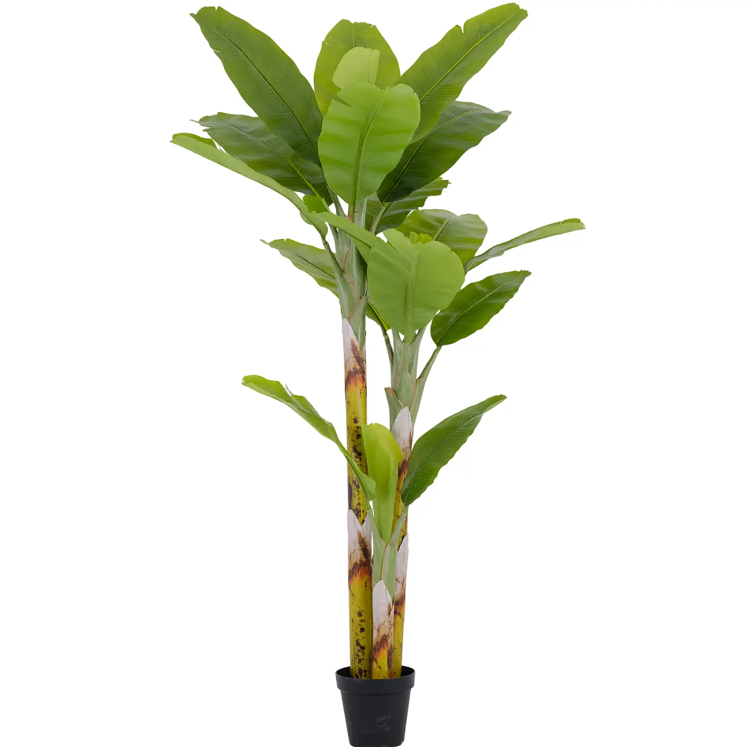 230CM Wholesale Artificial Banana Tree – Realistic Tropical Faux Plant