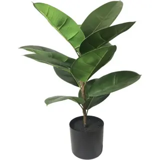 Artificial Ficus Elastica Plant – Faux Rubber Tree for Commercial & Wholesale Use
