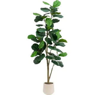 Artificial Fiddle Leaf Fig In Round White Pot (KD)