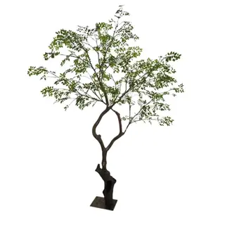 Artificial Elm Tree(KD), 300cm – Wholesale Faux Trees from Leading Factory Supplier