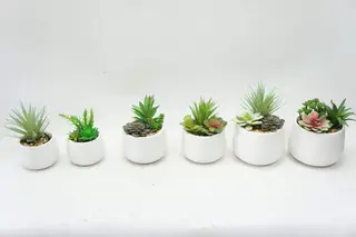 Artificial Succulents Fake Plants with Pots for Home and Office Decoration Artificial Succulents Fake Plants with Pots for Home and Office Decoration