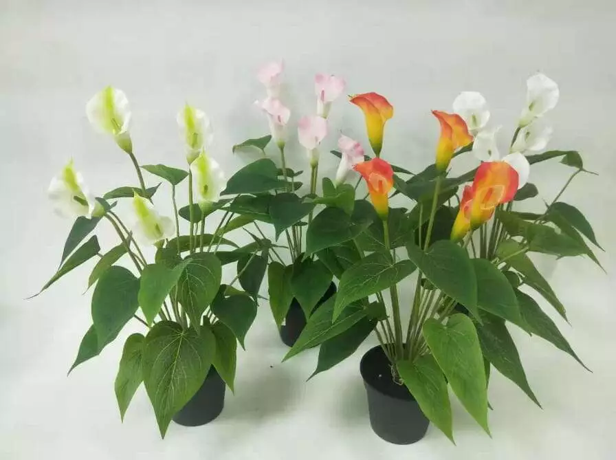 Sharetrade - Artificial Anthurium Andraeanum