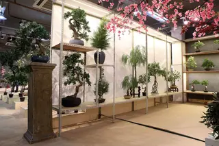 Do you forget to water your plants, after some time turn into dry? Do you forget to water your plants, after some time turn into dry?