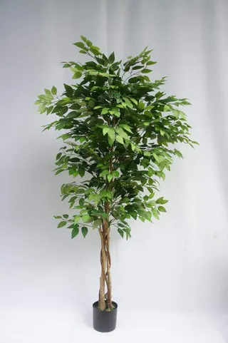 Artificial Greenery Ficus Tree, 120 CM, 150 CM, 180 CM Artificial Greenery Ficus Tree, 120 CM, 150 CM, 180 CM