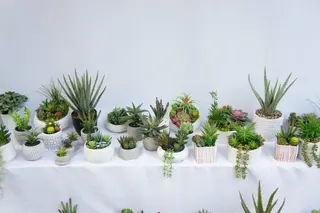 Artificial Succulents Fake Plants with Pots for Home and Office Decoration Artificial Succulents Fake Plants with Pots for Home and Office Decoration