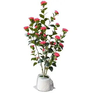 Artificial Camellia Tree(Red) In White Pot (KD), 120cm