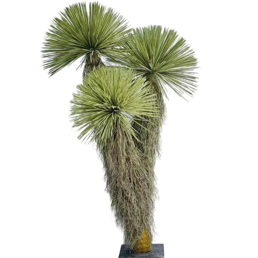 215cm Artificial Yucca Plant – Wholesale for Home and Commercial Decor