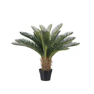 Artificial Palm Tree – Faux Tropical Plants Wholesale for Commercial & Event Décor