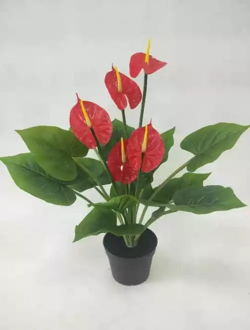 Sharetrade - Artificial Anthurium Andraeanum