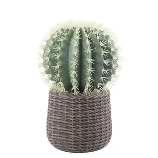 Artificial Prickly Pear in an EVA Flower Pot