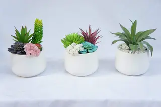 Artificial Succulents Fake Plants with Pots for Home and Office Decoration Artificial Succulents Fake Plants with Pots for Home and Office Decoration