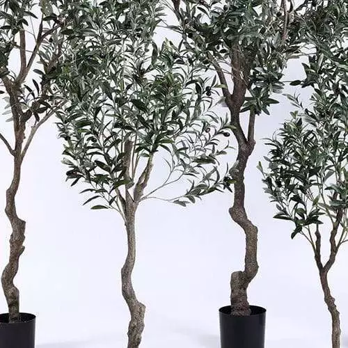 Wholesale Indoor Decoration Plants Plastic Artificial Olive Trees