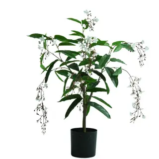 Artificial Bridal Veil Plant