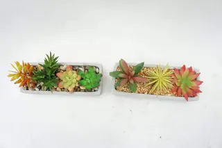 Artificial Succulents Fake Plants with Pots for Home and Office Decoration Artificial Succulents Fake Plants with Pots for Home and Office Decoration