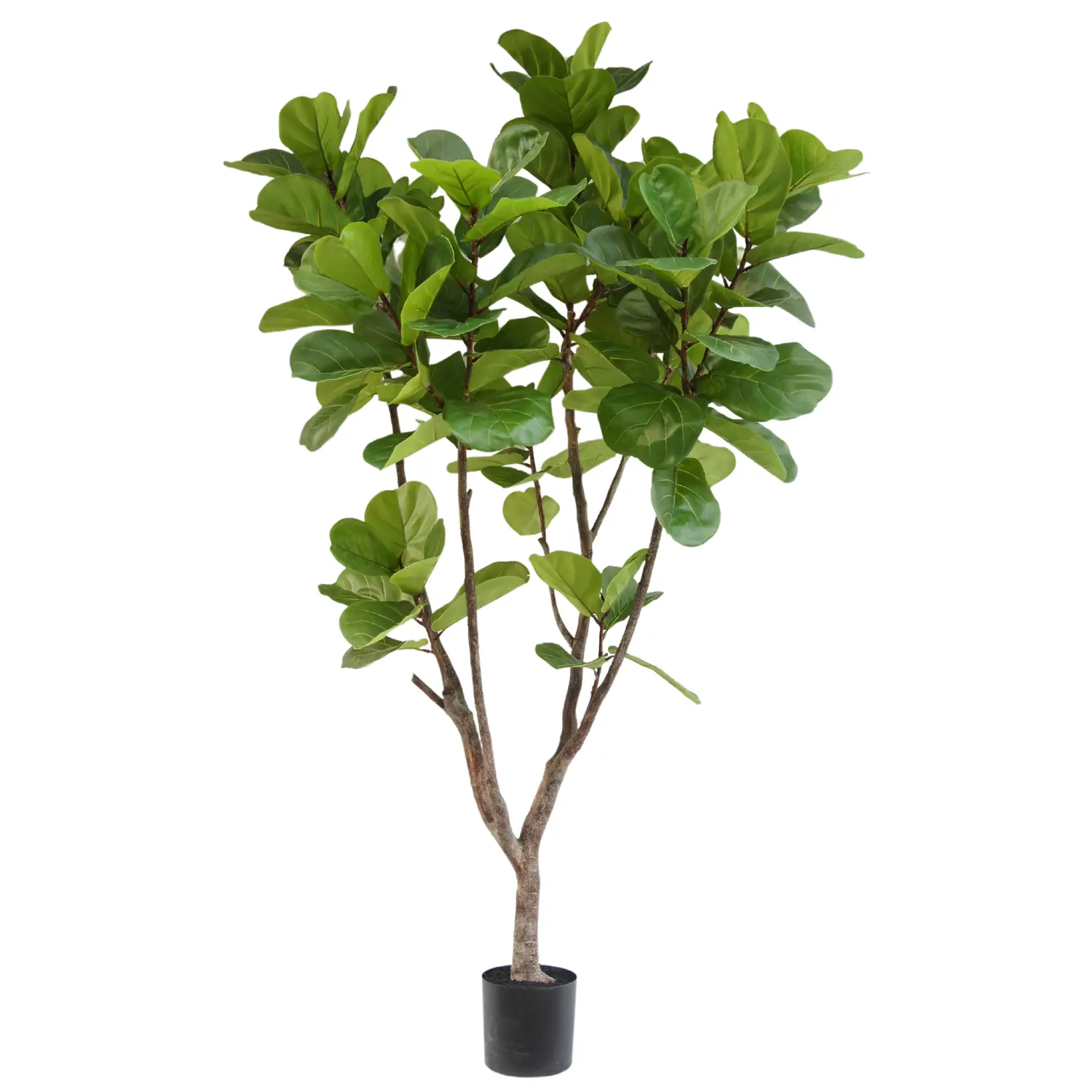 Wholesale New Design Artificial Fiddle Leaf Fig Tree, 210 CM