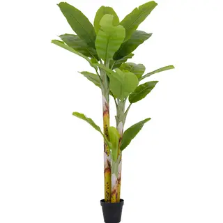 230CM Wholesale Artificial Banana Tree – Realistic Tropical Faux Plant