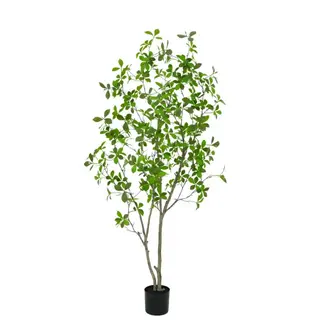 Artificial Gardenia Tree (KD), 160cm – Faux Plants Wholesale for Commercial & Event Décor
