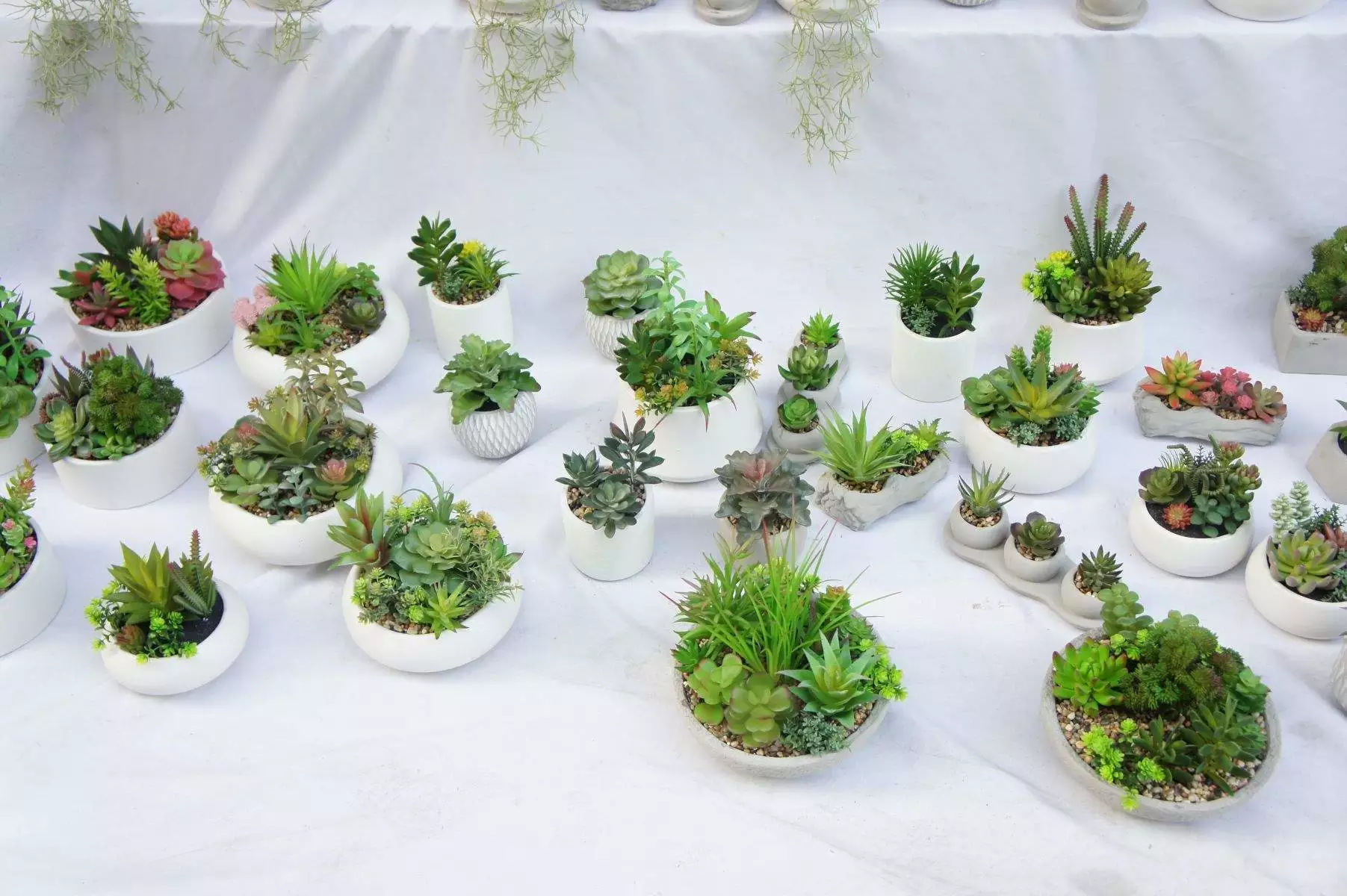 Artificial Succulents Fake Plants with Pots for Home and Office Decoration