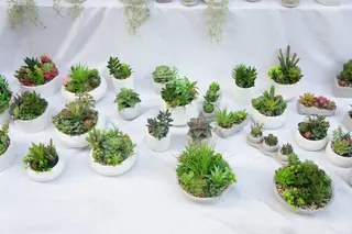 Artificial Succulents Fake Plants with Pots for Home and Office Decoration Artificial Succulents Fake Plants with Pots for Home and Office Decoration