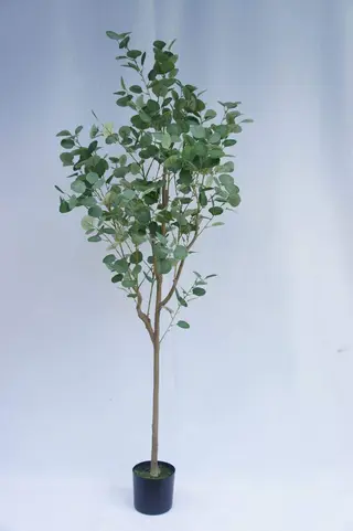 Faux Genus Eucalyptus, 180 CM Faux Genus Eucalyptus, 180 CM