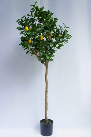 Artificial Lemon Tree, 180 CM Artificial Lemon Tree, 180 CM