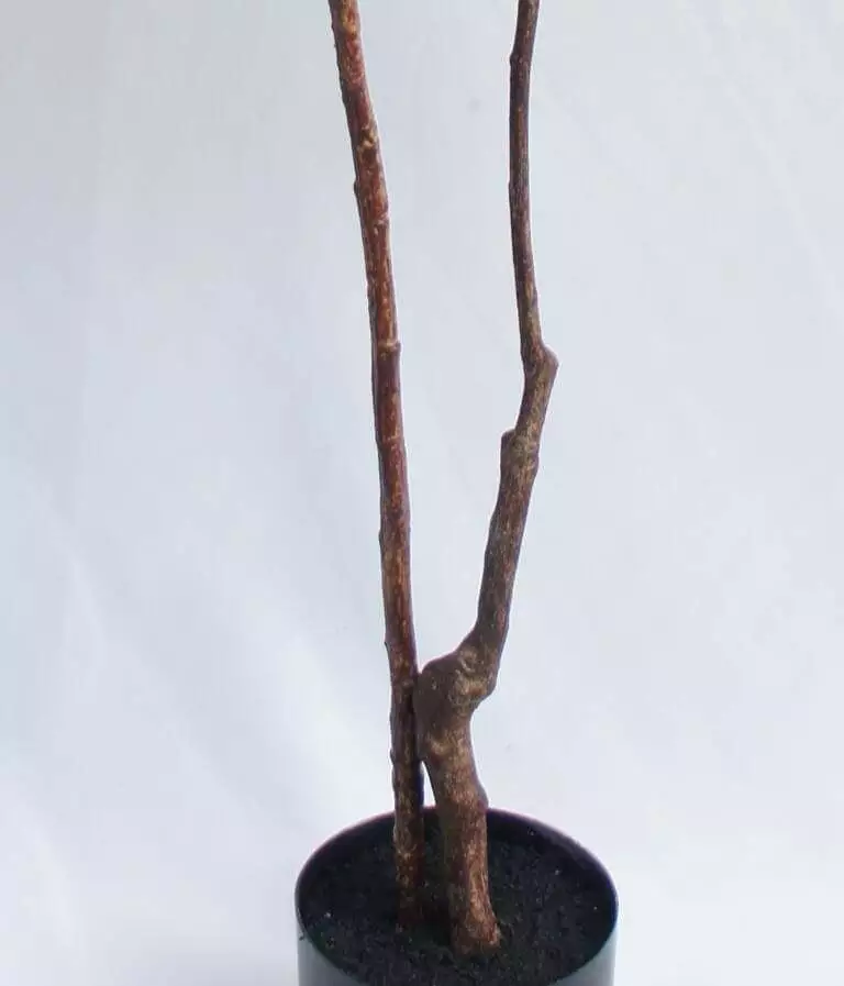 Artificial New Design Magnolia Tree, 120 CM