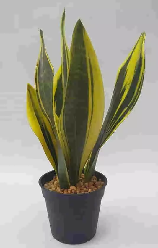 2020 Newest Artificial Snake Plant, 30 CM - 72 CM, Potted