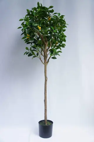 Artificial Lemon Tree, 180 CM Artificial Lemon Tree, 180 CM