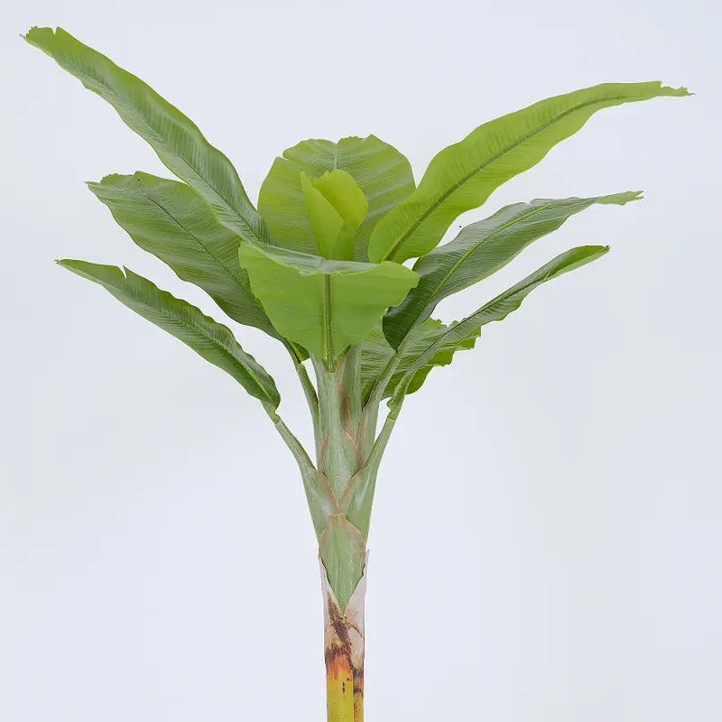 180cm Artificial Banana Tree Indoor Outdoor