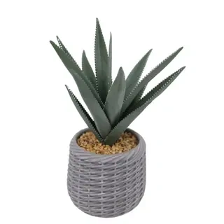 Artificial Sisal Leaves in an EVA Pot
