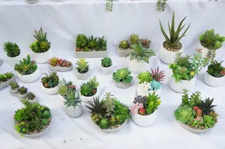 Artificial Succulents Fake Plants with Pots for Home and Office Decoration Artificial Succulents Fake Plants with Pots for Home and Office Decoration