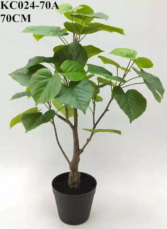 Artificial Ficus Umbellata From Sharetrade