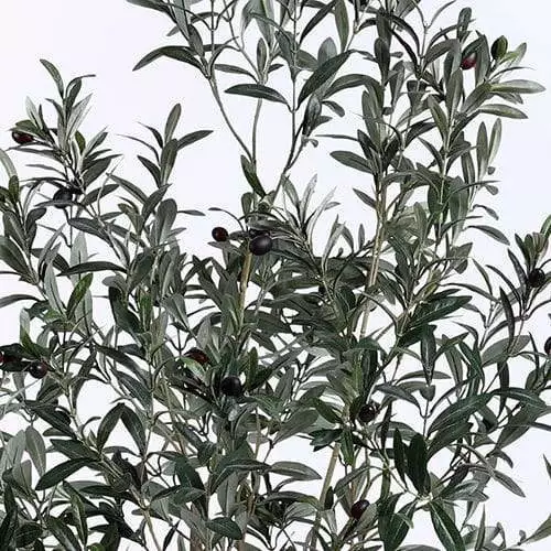 2020 Chinese Wholesale Large Plastic Fake Olive Artificial Tree