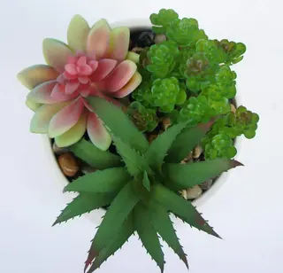 Fake Succulent Plant Desk Succulent Plants Potted Modern Plants Fake Succulent Plant Desk Succulent Plants Potted Modern Plants