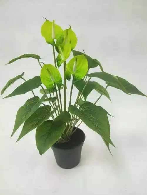 Sharetrade - Artificial Anthurium Andraeanum