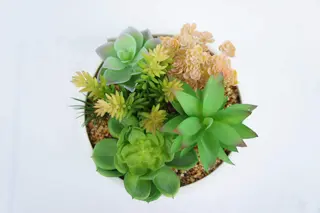 Artificial Succulent Plants with Pot Faux Succulent Plants Realistic Succulent Plant Artificial Succulent Plants with Pot Faux Succulent Plants Realistic Succulent Plant