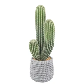 Artificial Cactus in EVA Flower Pot, 63cm