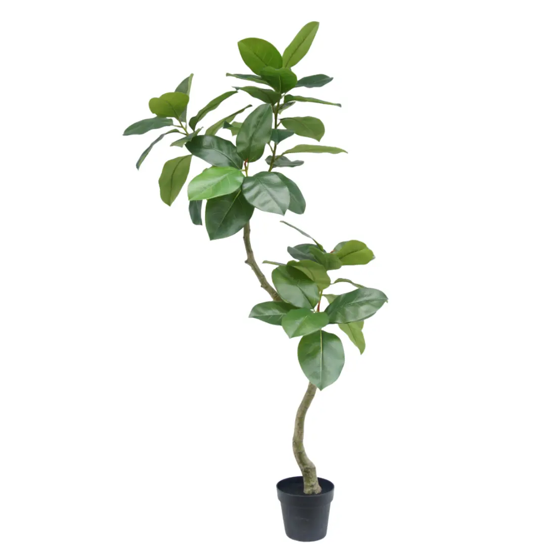 Wholesale Ficus Altissima Artificial Tree Bent Trunk, 180CM