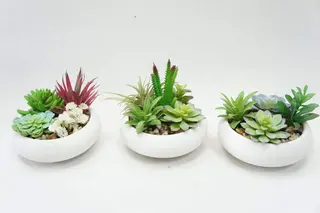 Artificial Succulents Fake Plants with Pots for Home and Office Decoration Artificial Succulents Fake Plants with Pots for Home and Office Decoration