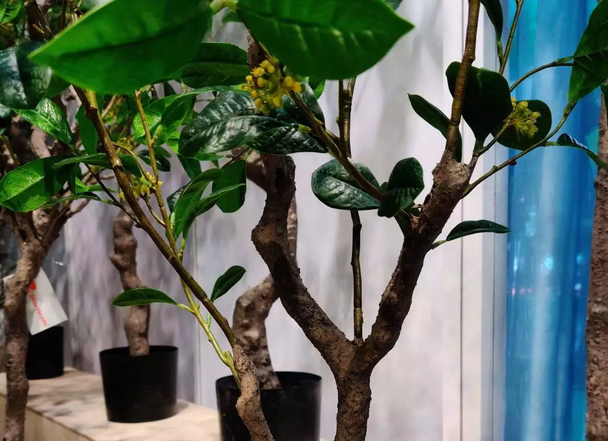 Photograph of Artificial Plants & Trees & Bonsai & Flowers -  up-close-shot (01)