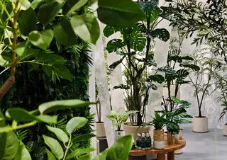 Sharetrade Showcases High-End Artificial Trees at the 51st Jinhan Fair
