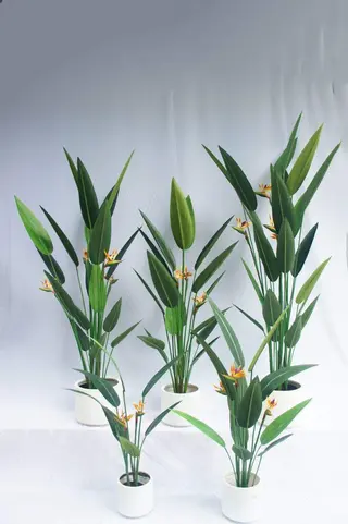 Artificial Strelitzia Nicolai Bonsai, 120 CM - 240 CM Artificial Strelitzia Nicolai Bonsai, 120 CM - 240 CM
