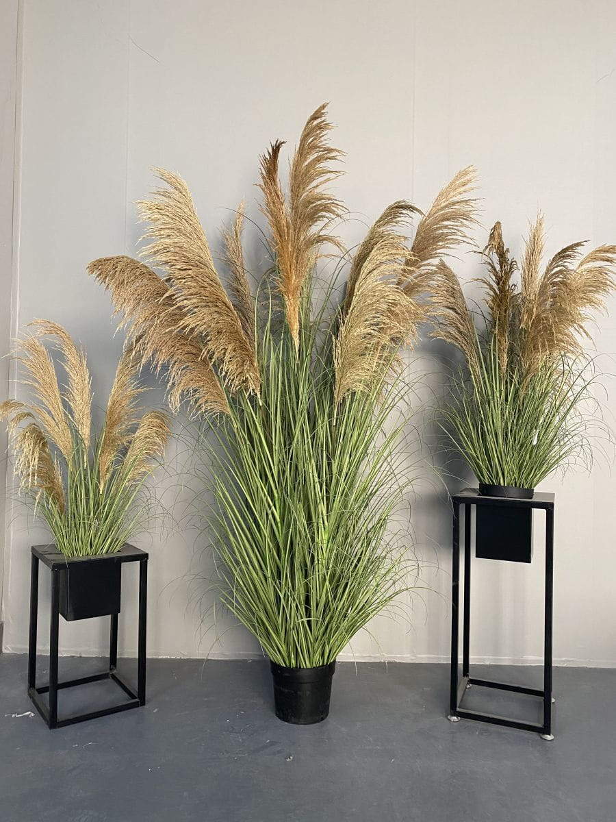 Semi-Natural Common Reed Bonsai, 90 CM, 110 CM, 173 CM, 186 CM Semi-Natural Common Reed Bonsai, 90 CM, 110 CM, 173 CM, 186 CM
