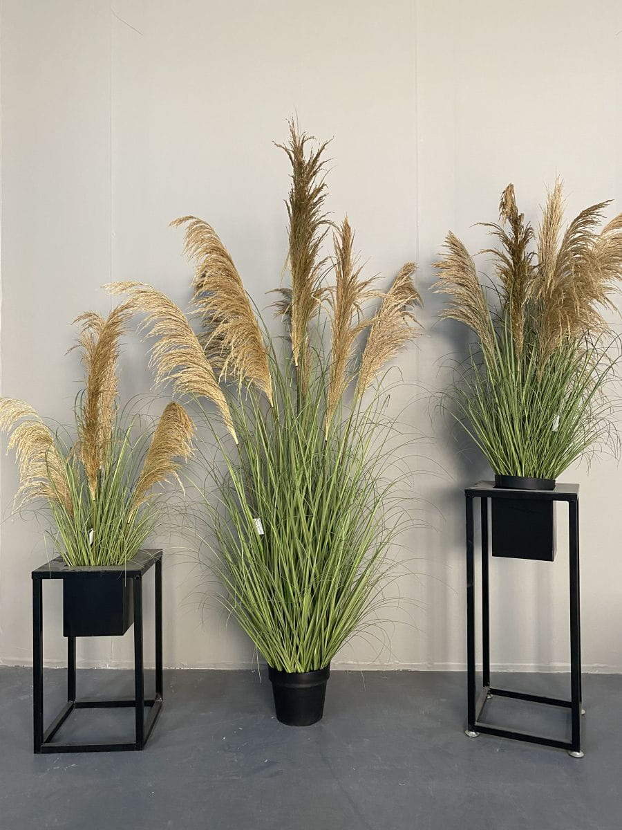 Semi-Natural Common Reed Bonsai, 90 CM, 110 CM, 173 CM, 186 CM Semi-Natural Common Reed Bonsai, 90 CM, 110 CM, 173 CM, 186 CM