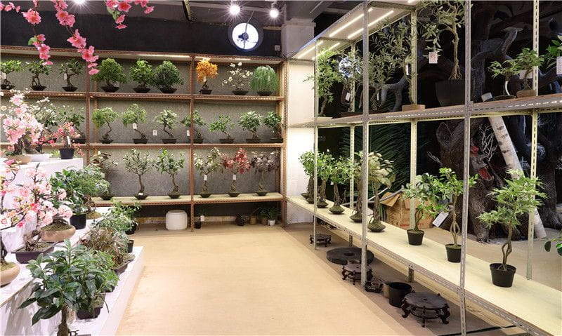 Do you forget to water your plants, after some time turn into dry? Do you forget to water your plants, after some time turn into dry?