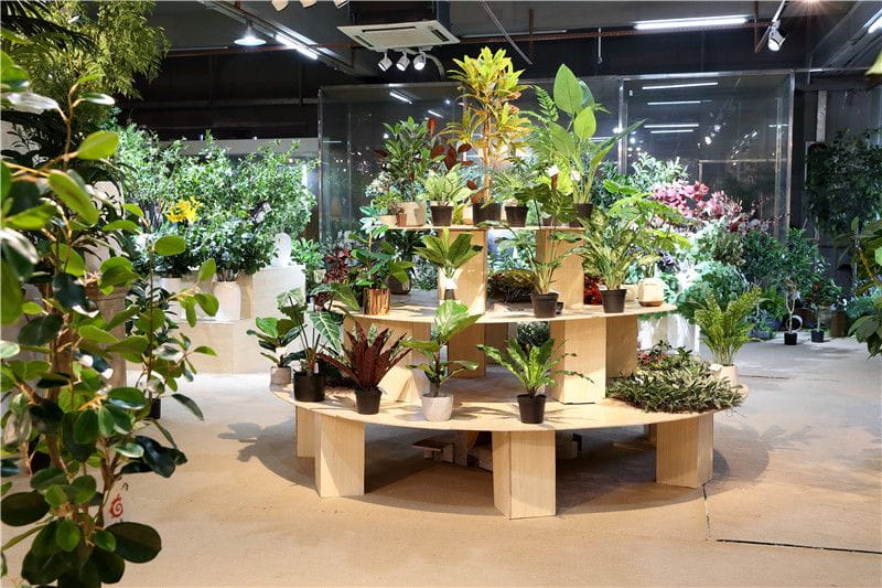 Do you forget to water your plants， after some time turn into dry?